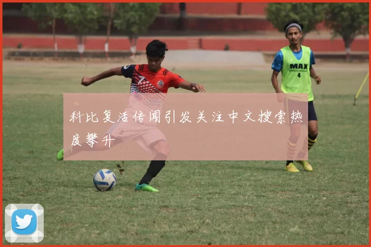 科比复活传闻引发关注中文搜索热度攀升