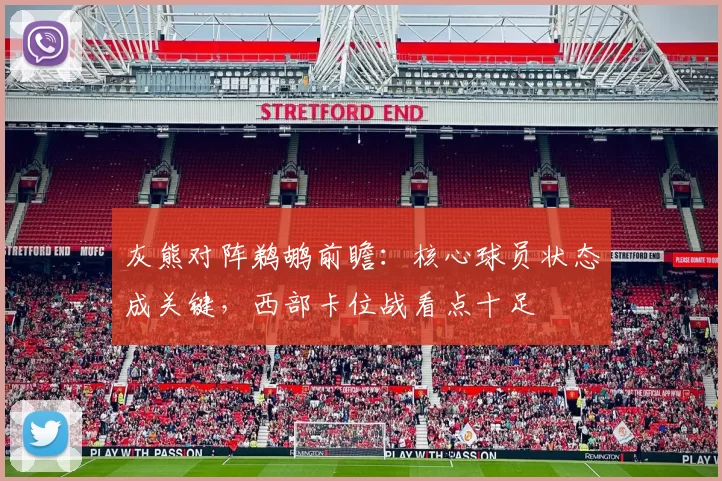 灰熊对阵鹈鹕前瞻：核心球员状态成关键，西部卡位战看点十足