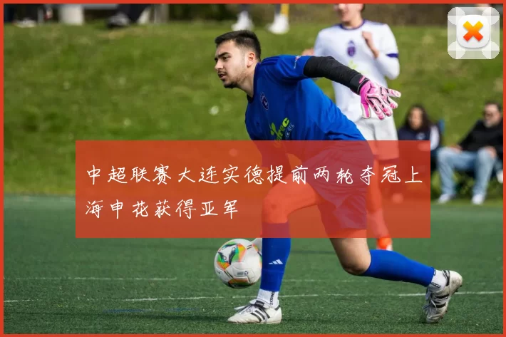 中超联赛大连实德提前两轮夺冠上海申花获得亚军