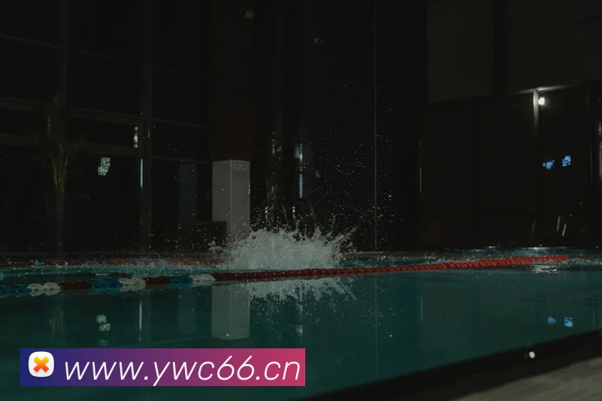 bat365手机版官网·(中国区)官方网站服务体系